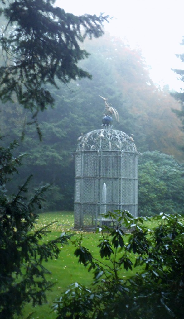Außerhalb des Käfigs