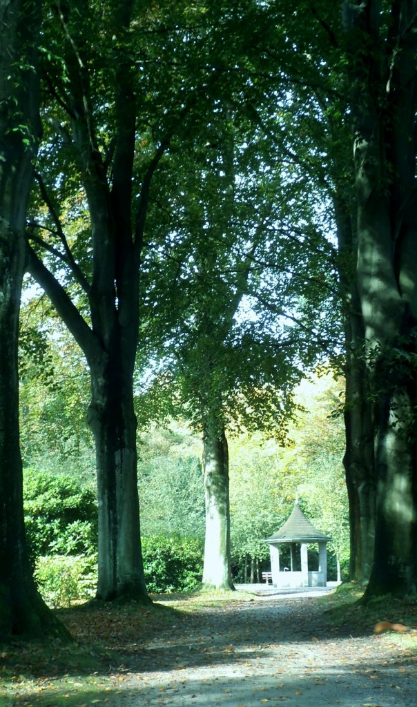 winzig im Schatten des Lebens
