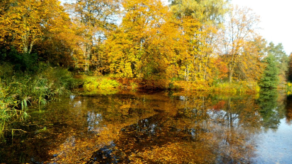 die bunten Wasser des Lebens