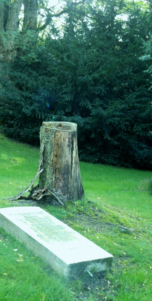 Zeugen der Vergänglichkeit