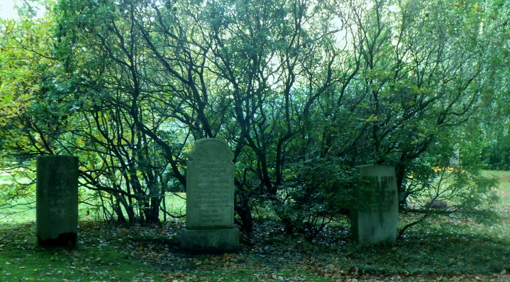 Steinerne Pilze
