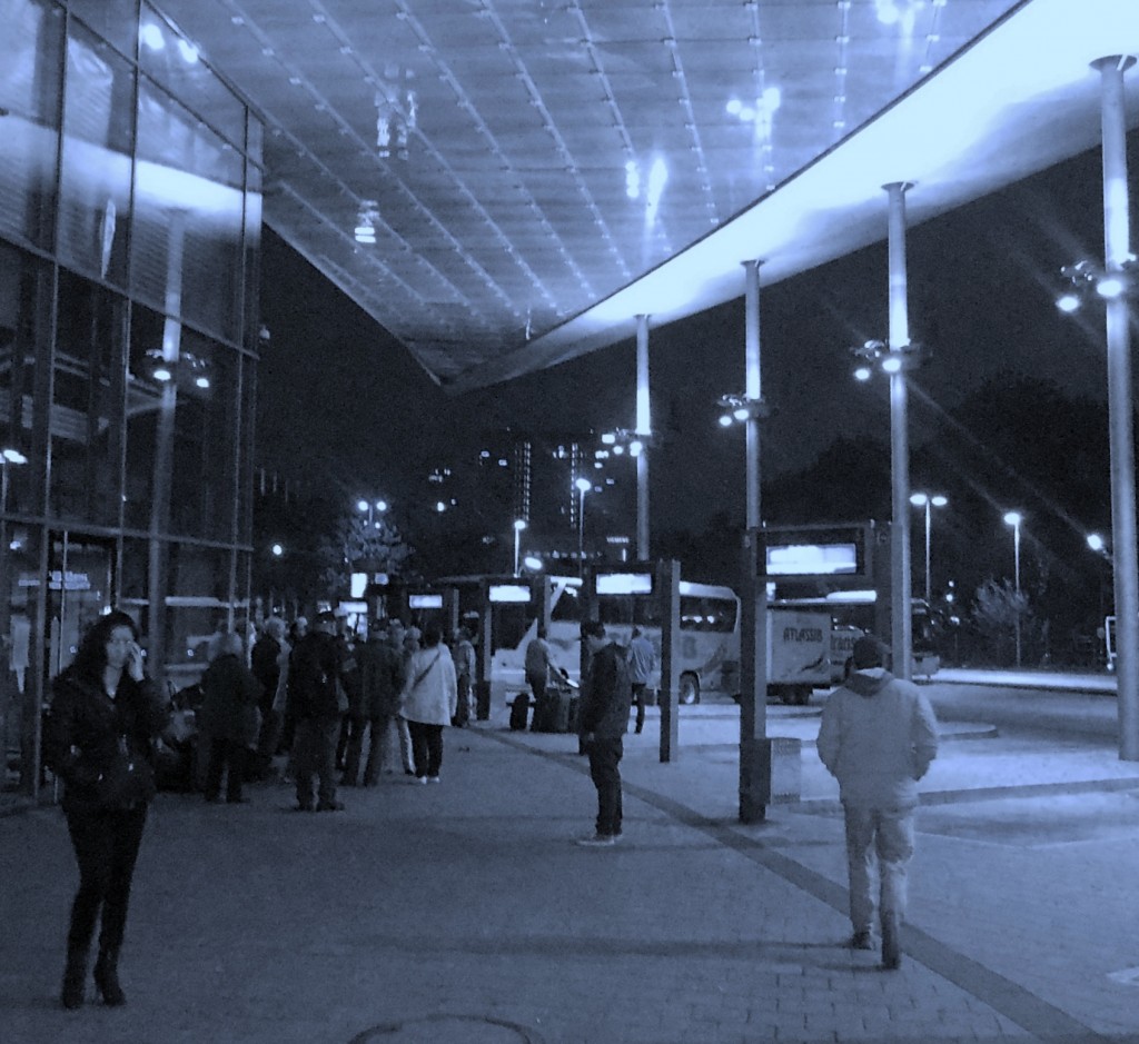 im Glanz der Nacht