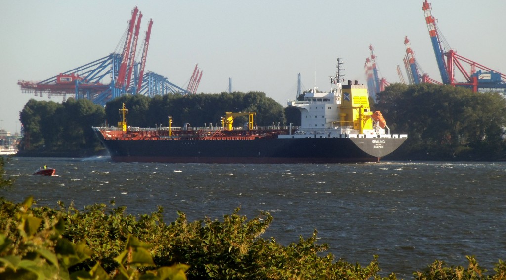 Elbfasan